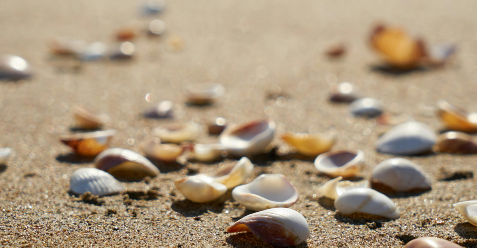 Waarom loslaten bij een kinderwens vaak niet lukt